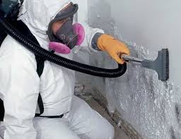 Reliable Wappingers Falls, NY Mold Remediation Solutions